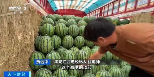 今日吃瓜行情怎么样,热点事件盘点与舆情分析